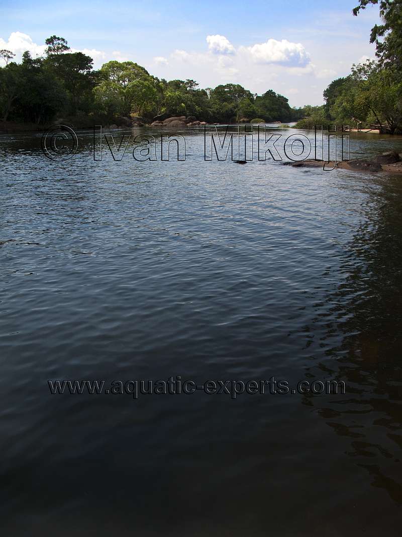 rios del amazonas